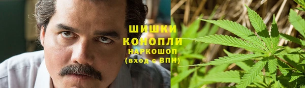 apvp Арсеньев