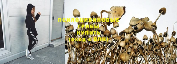 apvp Арсеньев