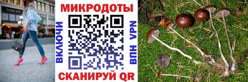 Галлюциногенные грибы мухоморы Сальск