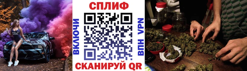 Канабис планчик  магазин продажи   Сальск 